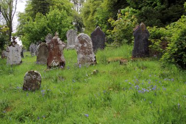 Oxford mezarlığı görünümü