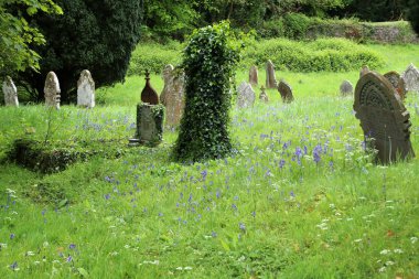 Oxford mezarlığı görünümü