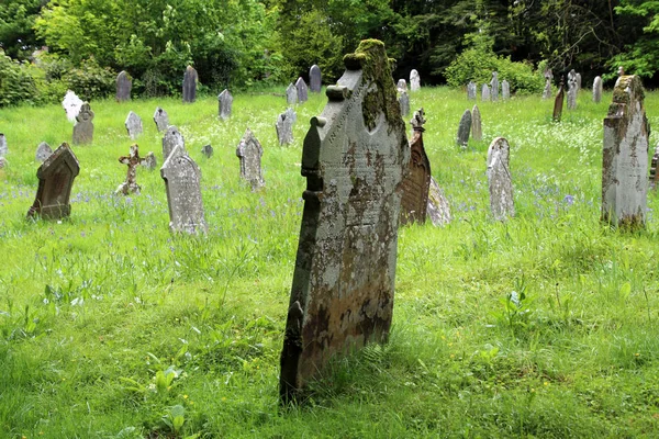 Oxford mezarlığı görünümü