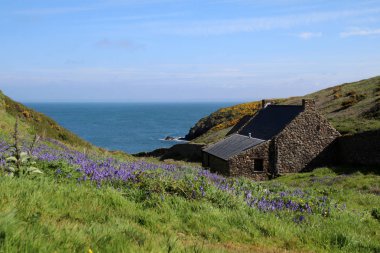 Skomer ada manzara 