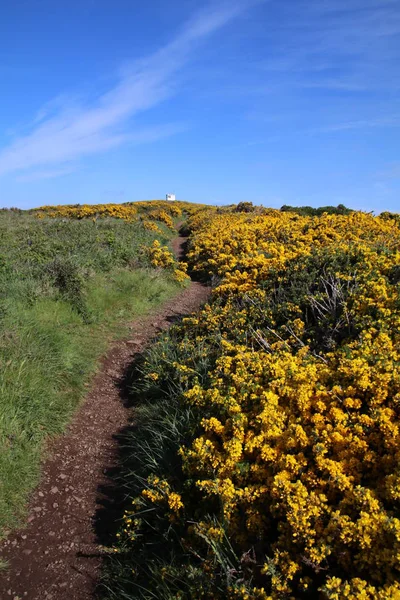 Skomer skärgårdslandskap — Stockfoto