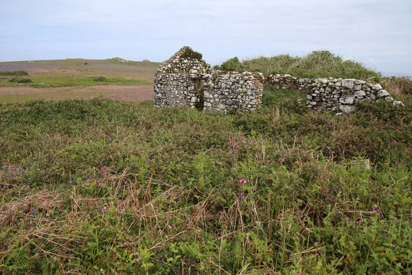 Paysage de l'île Skomer — Photo