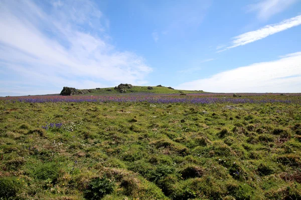 Isla Skomer paisaje — Foto de Stock