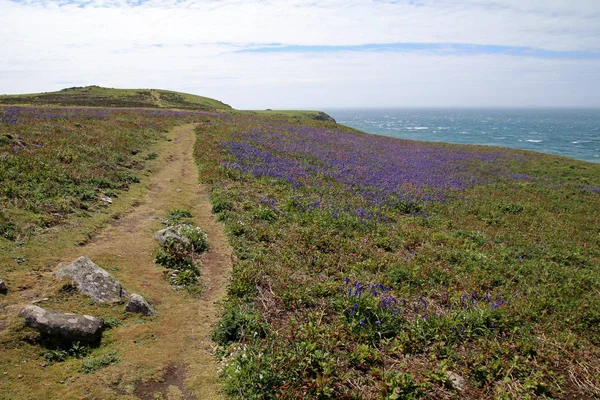 Skomer Ilha paisagem — Fotografia de Stock