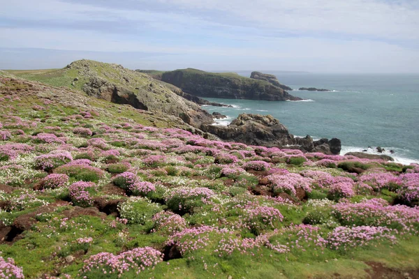 Skomer eiland landschap — Stockfoto