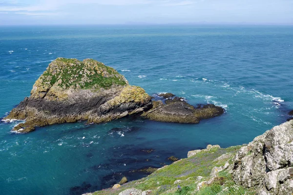 Skomer eiland landschap — Stockfoto