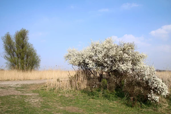 Walory krajobrazowe obszaru Wattowego — Zdjęcie stockowe