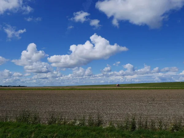 Malebná krajina oblasti Wadden — Stock fotografie