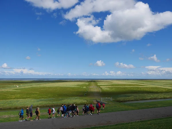 Turisté na krajinu oblasti Wadden — Stock fotografie