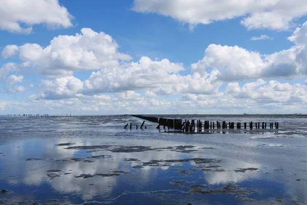 Vistas al mar de Wadden — Foto de Stock