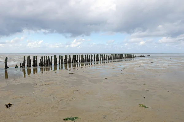 Wadden Denizi görünümü — Stok fotoğraf