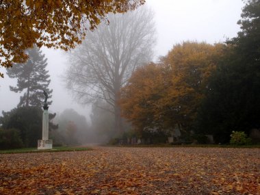 Amsterdam, Hollanda Belediye mezarlığı