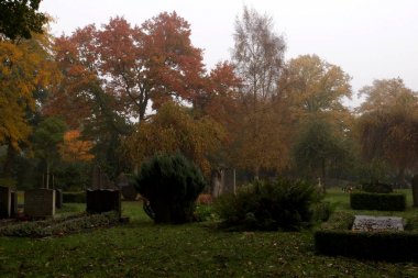 Amsterdam, Hollanda Belediye mezarlığı