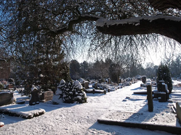 Kijk Begraafplaats Van Winter Amsterdam — Stockfoto