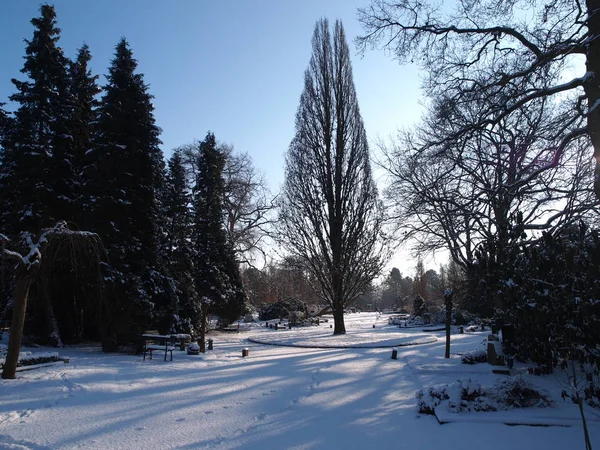 View Winter Cemetery Amsterdam — Stock Photo, Image