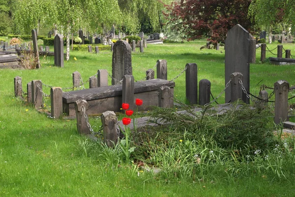 Municipal Cemetery Amsterdam Netherlands — Stock Photo, Image