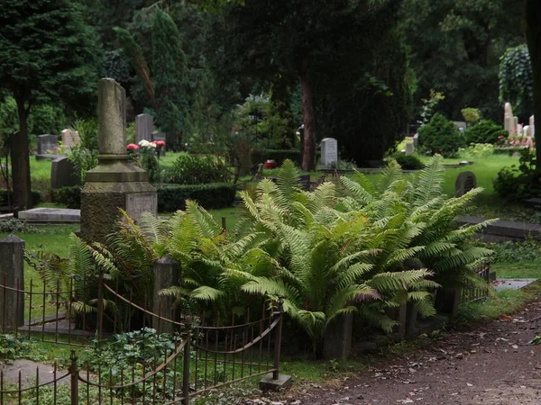 Den Kommunala Kyrkogården Amsterdam Nederländerna — Stockfoto