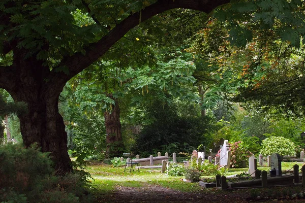 Den Kommunala Kyrkogården Amsterdam Nederländerna — Stockfoto