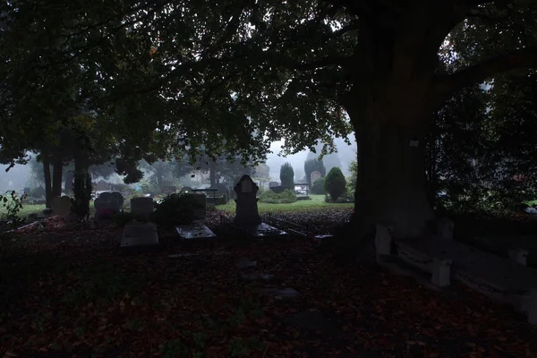 Municipal Cemetery Amsterdam Netherlands — Stock Photo, Image