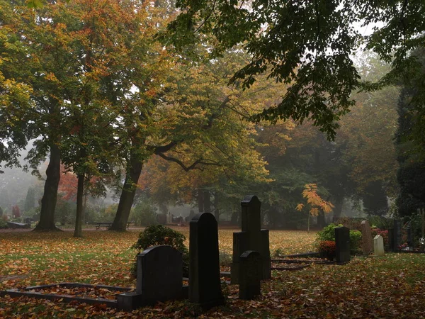 Amsterdam, Hollanda Belediye mezarlığı