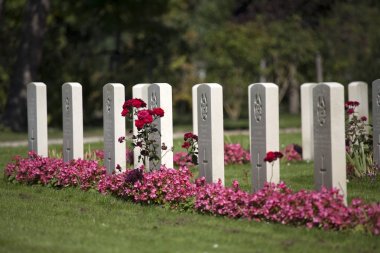 Amsterdam, Hollanda Belediye mezarlığı