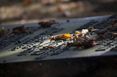 Amsterdam, Hollanda Belediye mezarlığı