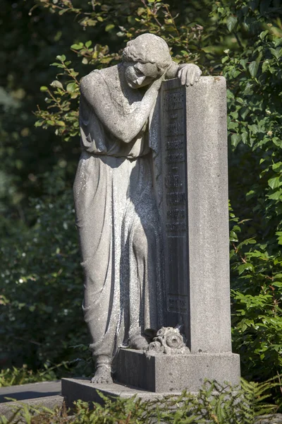 Cementerio Municipal Amsterdam Países Bajos —  Fotos de Stock