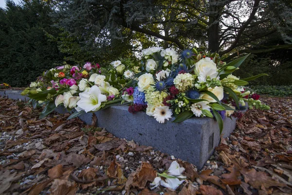 Den Kommunala Kyrkogården Amsterdam Nederländerna — Stockfoto