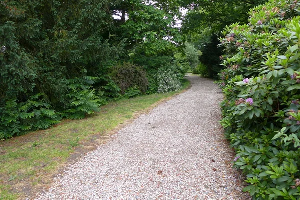 Amsterdam Belediye mezarlığı