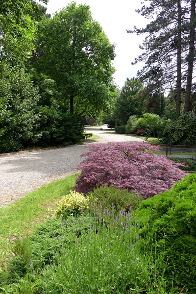 Amsterdam, Hollanda Belediye mezarlığı