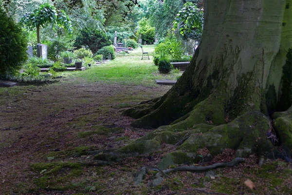 Amsterdam, Hollanda Belediye mezarlığı