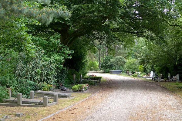 Den Kommunala Kyrkogården Amsterdam Nederländerna — Stockfoto