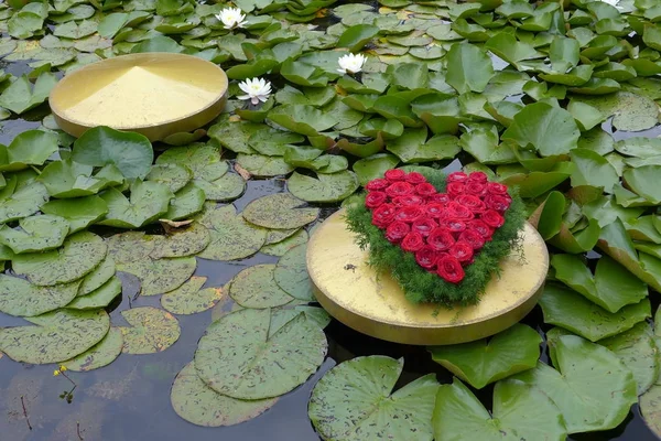 Water Lilies Heart Made Red Roses — Stock Photo, Image