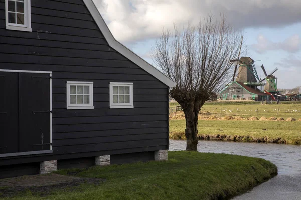Edificios Tradicionales Zaanse Schans Zaandam Países Bajos —  Fotos de Stock