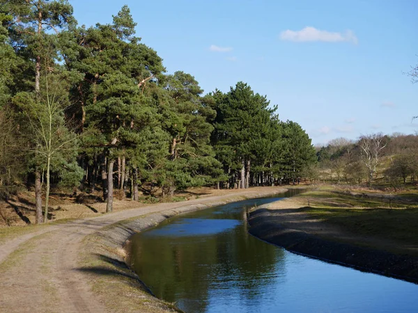 Natura Holandii Rzeki Lasu — Zdjęcie stockowe