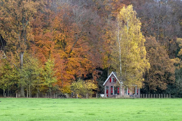 Őszi Fák Gyönyörű Parkban — Stock Fotó
