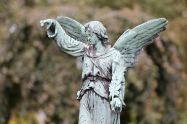 Belediye Mezarlığı'nda Amsterdam, Hollanda, melek heykeli