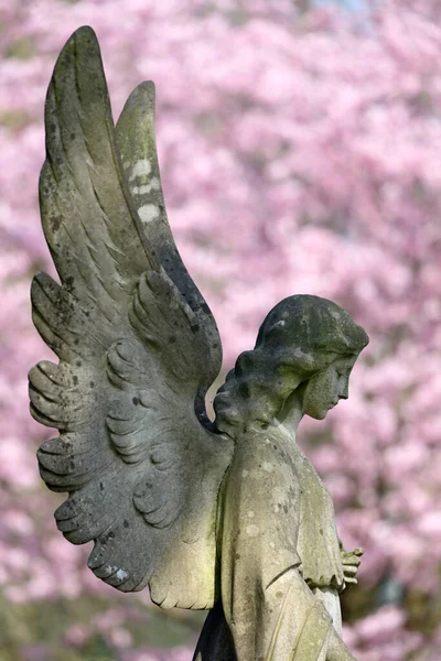 Staty Ängel Vid Kommunala Kyrkogården Amsterdam Nederländerna — Stockfoto