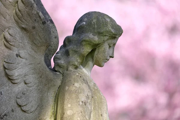 Estátua Anjo Cemitério Municipal Amsterdã Países Baixos — Fotografia de Stock