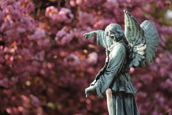 Estátua Anjo Cemitério Municipal Amsterdã Países Baixos — Fotografia de Stock