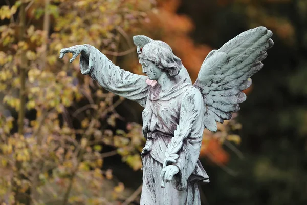 Staty Ängel Vid Kommunala Kyrkogården Amsterdam Nederländerna — Stockfoto