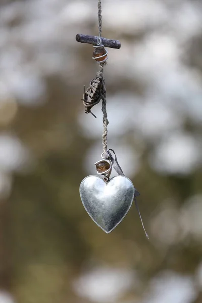 heart toy hanging on tree branch