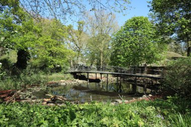 Güneşin manzarası yemyeşil, Amsterdam hayvanat bahçesi parkı