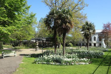 Güneşin manzarası yemyeşil, Amsterdam hayvanat bahçesi parkı