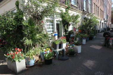 Amsterdam, Kuzey Hollanda, Hollanda - 2 Nisan 2020: De Pijp bölgesinde çiçekli ev (Güney Amsterdam).