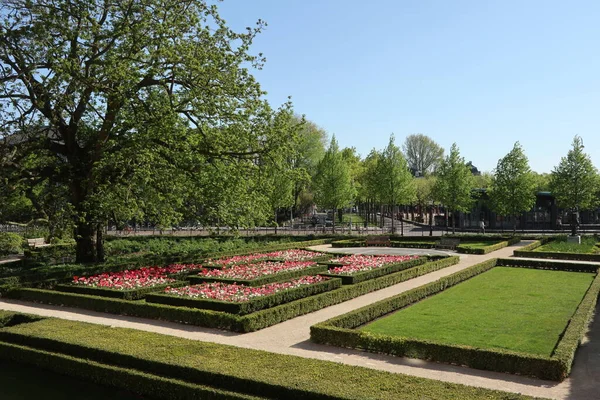 Amsterdam Kuzey Hollanda Hollanda Nisan 2020 Rijksmuseum Bahçesindeki Laleler — Stok fotoğraf