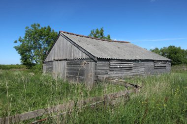 Yeşil bahçedeki eski ahşap kulübe