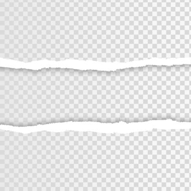 Ripped squared paper strips for text or message. Torn note paper