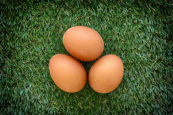 Yeşil çimenlerin üzerinde döşeme üç tavuk yumurta — Stok fotoğraf