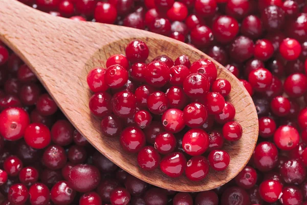 Fresh cranberry in a wooden spoon — Stock Photo, Image